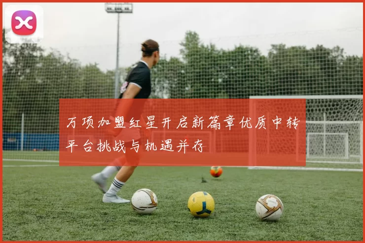 万项加盟红星开启新篇章优质中转平台挑战与机遇并存